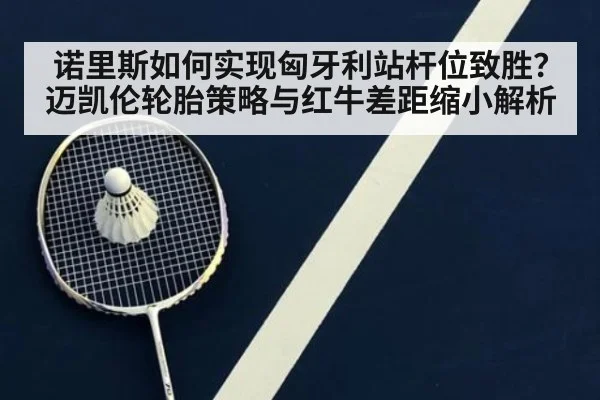 诺里斯如何实现匈牙利站杆位致胜？迈凯伦轮胎策略与红牛差距缩小解析
