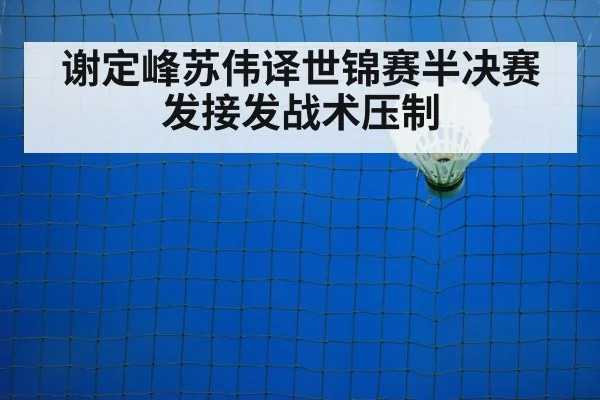 谢定峰苏伟译世锦赛半决赛 发接发战术压制