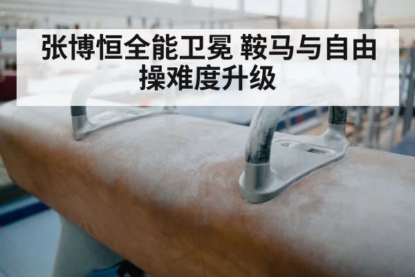 张博恒全能卫冕 鞍马与自由操难度升级