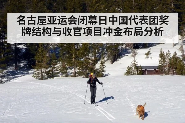 名古屋亚运会闭幕日中国代表团奖牌结构与收官项目冲金布局分析