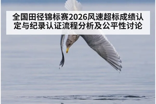 全国田径锦标赛2026风速超标成绩认定与纪录认证流程分析及公平性讨论